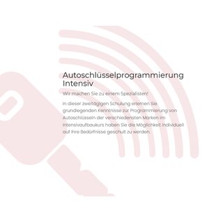 Schulung Tag 2+3: Autoschlsselprogrammierung BASIC + INTENSIV