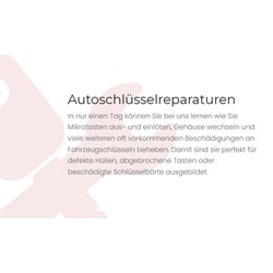 Schulung Tag 1: Fahrzeugschlssel Reparaturen